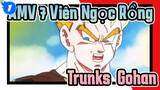 AMV Dragon Ball
Trunks & Gohan_1