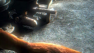 الأشخاص الذين يحبون الكلاب عادةً ما يكونون جيدين.