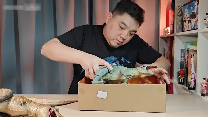 Đã mua được với giá tốt trên Amazon! Chia sẻ về việc mở hộp được mong đợi từ lâu! Mattel Hammond Col