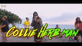 Collie Herb Man - Katchafire | Kuerdas Reggae Cover