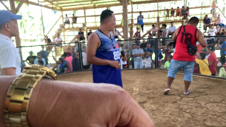 Two wins first fight win (white gold)