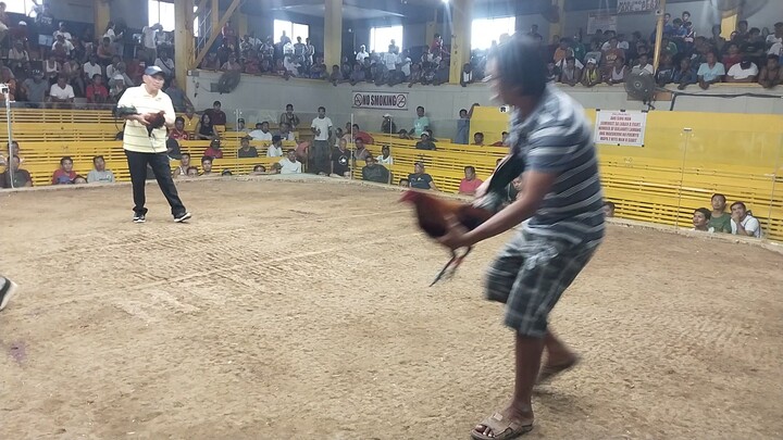 6x winner champion 2hits tanza