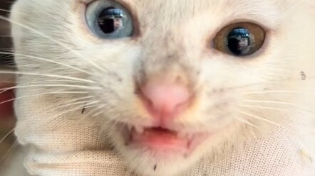 ยังจำมันได้ไหม? รถเก่าไร้เจ้าของคันนั้น… เจ้าของใหม่ดูแลมันดีมากจริงๆ…