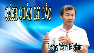 Cách xử lý tảo lam, tảo giáp trong nuôi tôm