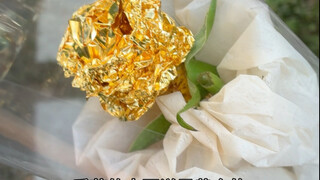 今天的垃圾桶物资很丰富