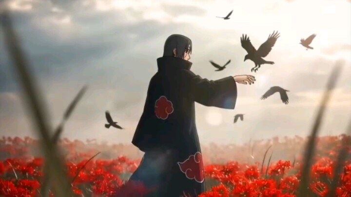 “A Journey Through the Red Fields 🌹 | 3D Animation”