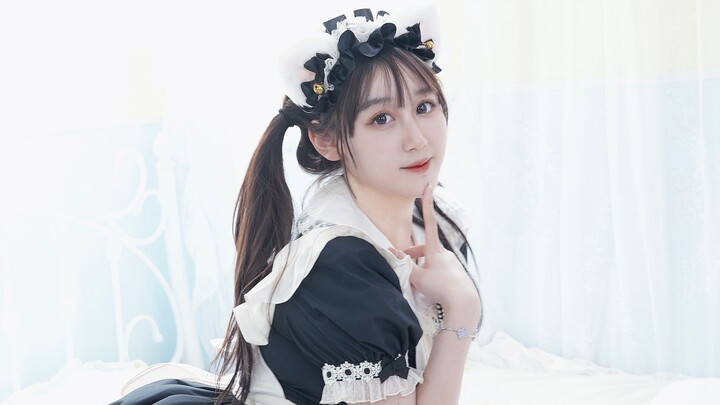 Please check your dancing cat maid