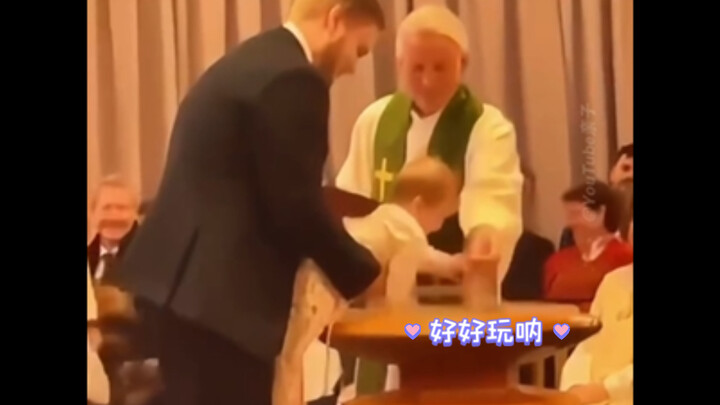 幼崽在教堂⛪️