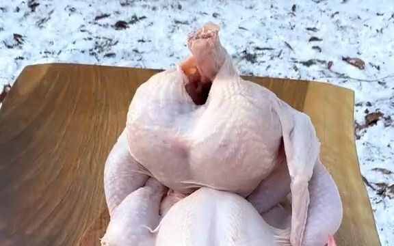 【Nấu ăn trên núi】Gà chỉ ngồi trên bia thôi sao……?