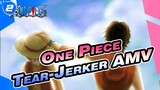 One Piece
Tear-Jerker AMV_2