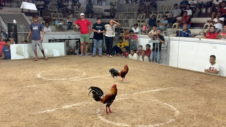 PCC 4 COCK FINALS SECOND FIGHT ENTRY NAME: AB NATAPPIAN