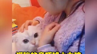 Cat: The more you're scared, the more excited I get.