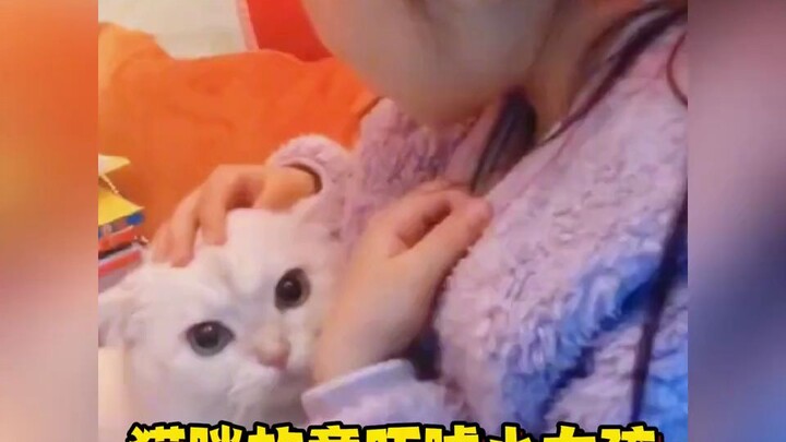 Cat: The more you're scared, the more excited I get.