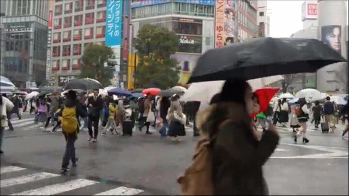 Shibuya Crossing 3242024