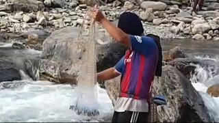 CAST NET FISHING IN NEPAL | CAST NETTING | ASALA FISHING I