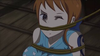 KETIKA NAMI DIPAKSA DAN DICULIK OLEH KAIDO