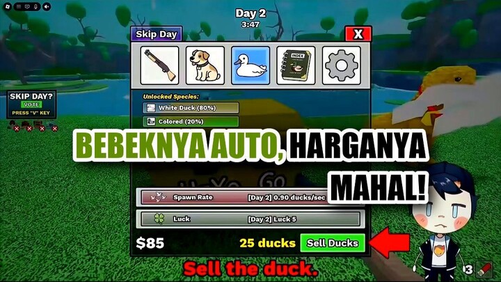 🚀 BEBEKNYA BISA AUTO, TAPI HARGANYA LUMAYAN MAHAL!