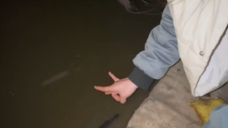 阎王:你咋来的？ 鱼:👌