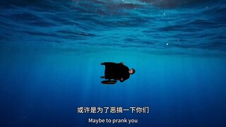 ♿️我活着，但也死了♿️