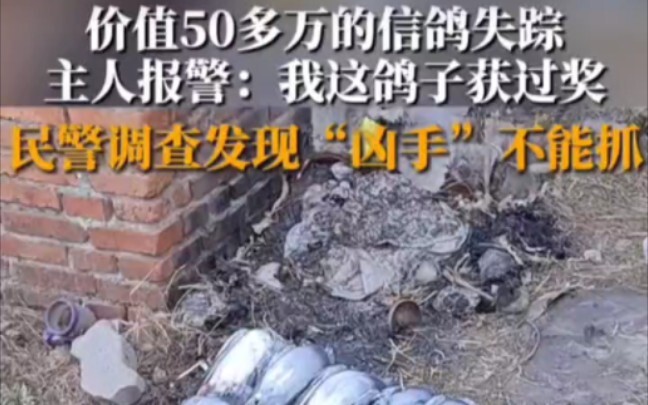 【Tiểu Hiên nhà rảnh rỗi】Video mới nhất đã lên sóng, mời mọi người theo dõi!