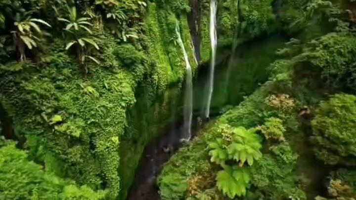 nature beautiful 🌳🍃