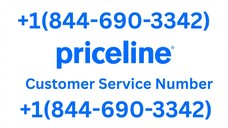 17 Ways To Access Priceline Customer Service By Phone, Chat And Email: A Step~by~Step Guide