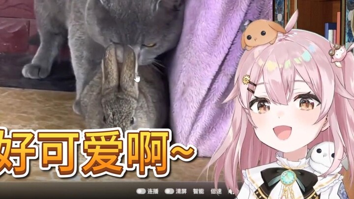 【永初塔菲】I saw a cute bunny on Douyin and called it cute and cute Taffy meow🤤 (barrage)