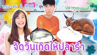 จัดงานวันเกิดให้ปลาร้า ครบรอบ 2 เดือน !!