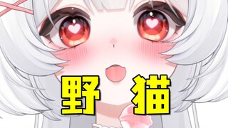 【蛋卡】性~感~小~野~猫~【情侣】