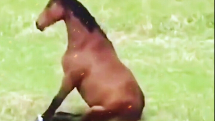 Ma: “I’m heartbroken—how can you be so mean to someone?”