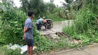 Cảnh Tèn Hen Chuyển Phà l Lên Bến