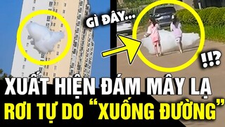 Xuất hiện cảnh 'ĐÁM MÂY' rơi tự do xuống đường khiến nhiều người 'TÒ MÒ' thắc mắc | Tin Nhanh 3 Phút