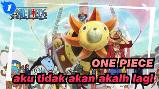 ONE PIECE|[Epik Sedih]Semuanya, aku tidak akan akalh lagi!!!_1