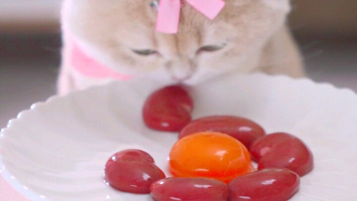 แสดงเล่นโยโย่ให้คุณป้าๆ ดูหน่อย