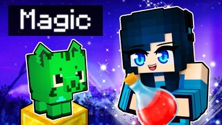 Minecraft MAGIC SCHOOL!