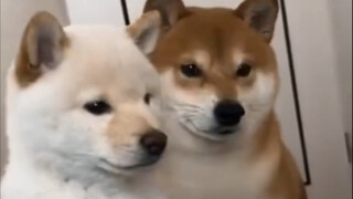 Aren't you going to get up and play with us?