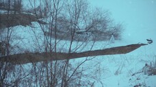 [Eng Sub] Moon River - Ep.02