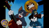 Tom y Jerry en Latino | Momentos musicales 🎶 |  @WBKidsLatino