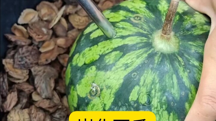 今天炭化一下西瓜