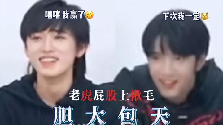 هذان الشقيان الصغيران، وعاء وحوض، لا يمكنهما العيش دون أن يكونا أشرارًا.