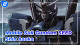 [Mobile Suit Gundam SEED/MAD] Shin Asuka--- Dikontrol oleh kebencian_2