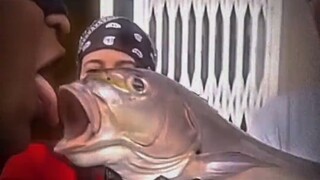 Nụ hôn là lời nói dối của em