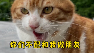 Yuk~ Tunjukkan suhu kota kamu, biar aku lihat seberapa akrabnya kita~