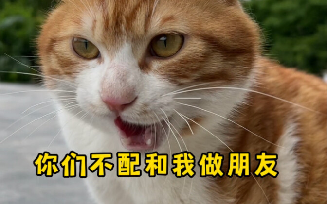 يا~ اعرض درجة حرارة مدينتك، دعني أرى مدى معرفتنا ببعضنا البعض~