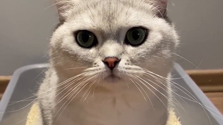 You're 7 years old. My wireless earphones have some sound.