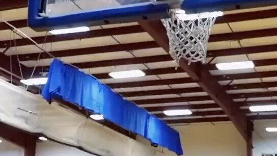 ตัวเล็ก พลังแรง