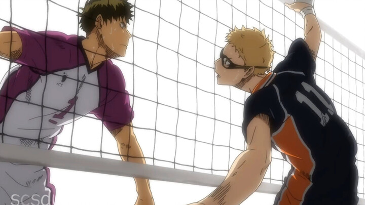 Karasuno’s Reason/Guarding Wall——Tsukishima Hotaru [Volleyball Boy]