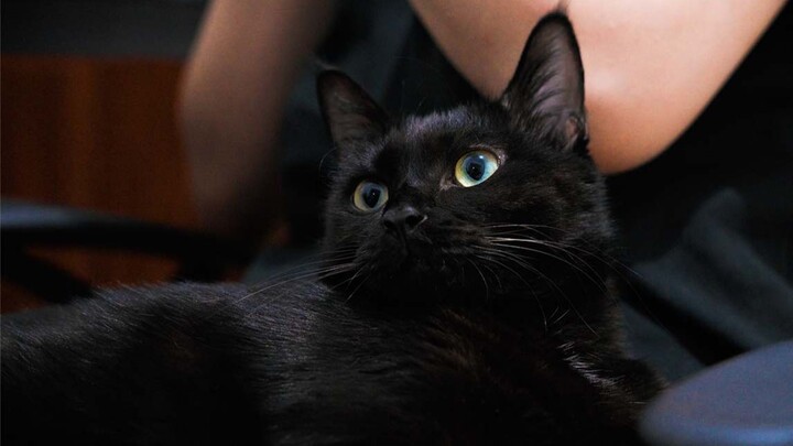 Ngồi lên đùi mẹ mà làm trò cũng bị đấm cho bể mông đấy!