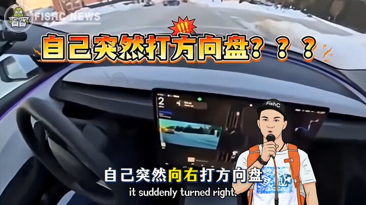 Car owner baffled: Didn’t hear any siren ❓ But FSD already made the decision for you!