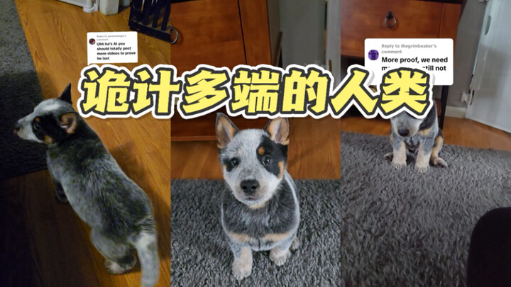 More proof that Baobao isn’t an AI 🤔 Can you believe it?